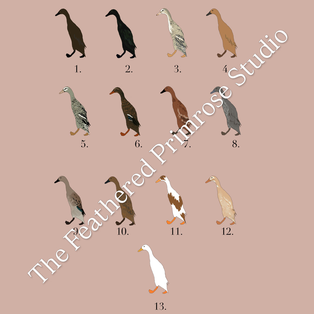 Runner Duck Poster (Females)