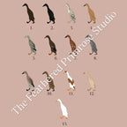 Runner Duck Poster (Females)