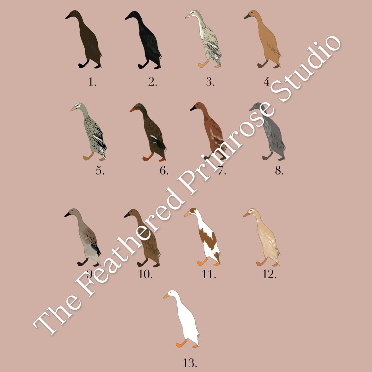 Runner Duck Poster (Females)
