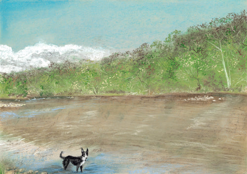 B&W Border Collie A4 Print