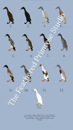 Runner Duck Poster (Males)