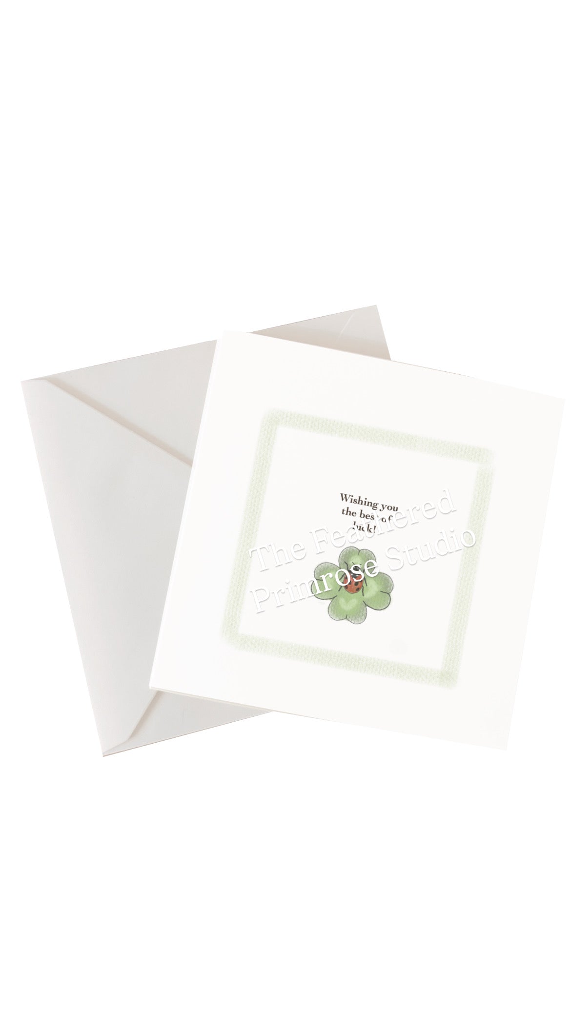 Good Luck Ladybug Card