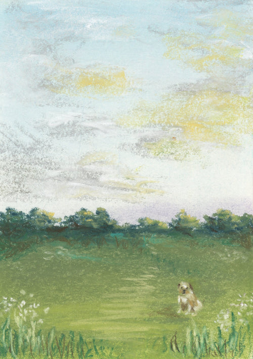 Border Terrier A4 Print