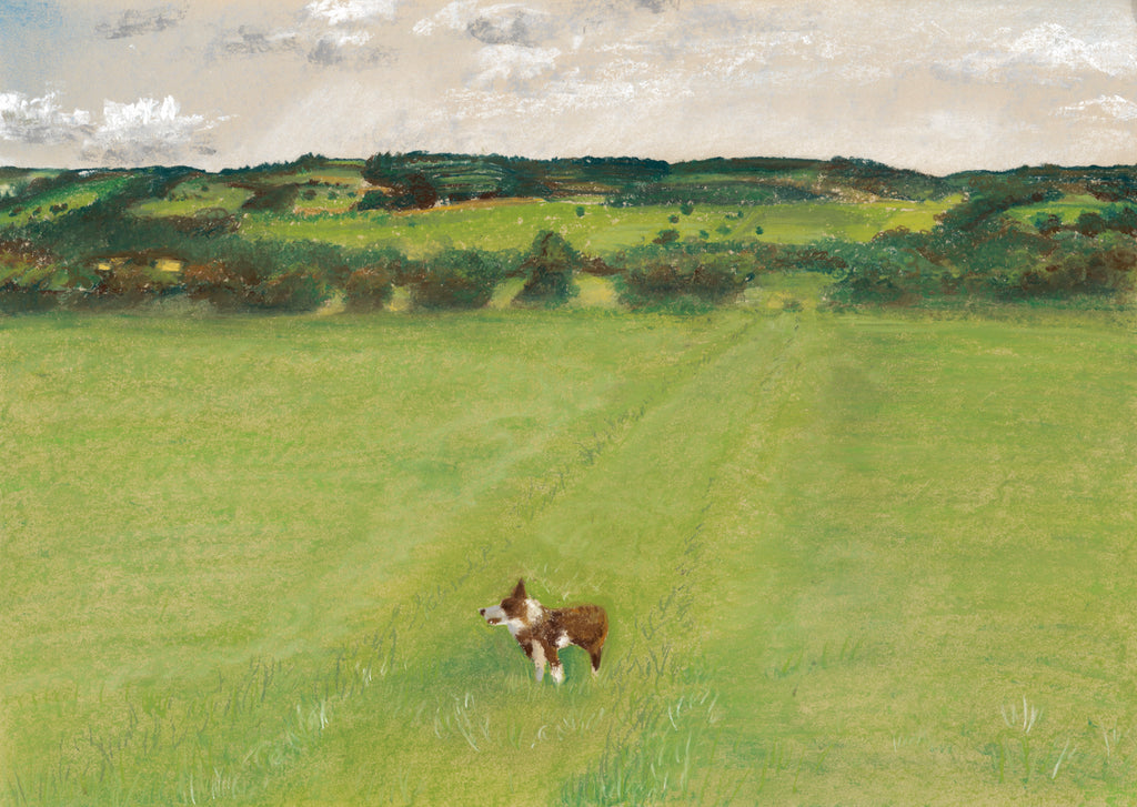 Border Collie A4 Print