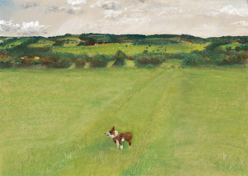 Border Collie A4 Print