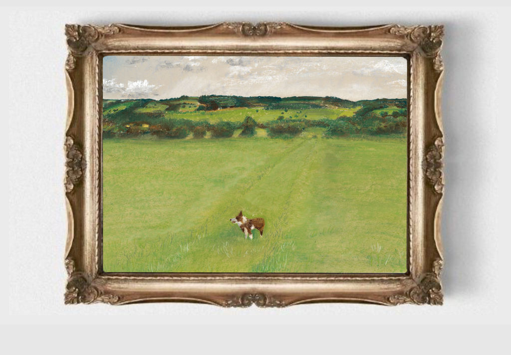 Border Collie A4 Print