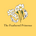 The Feathered Primrose Studio - Home