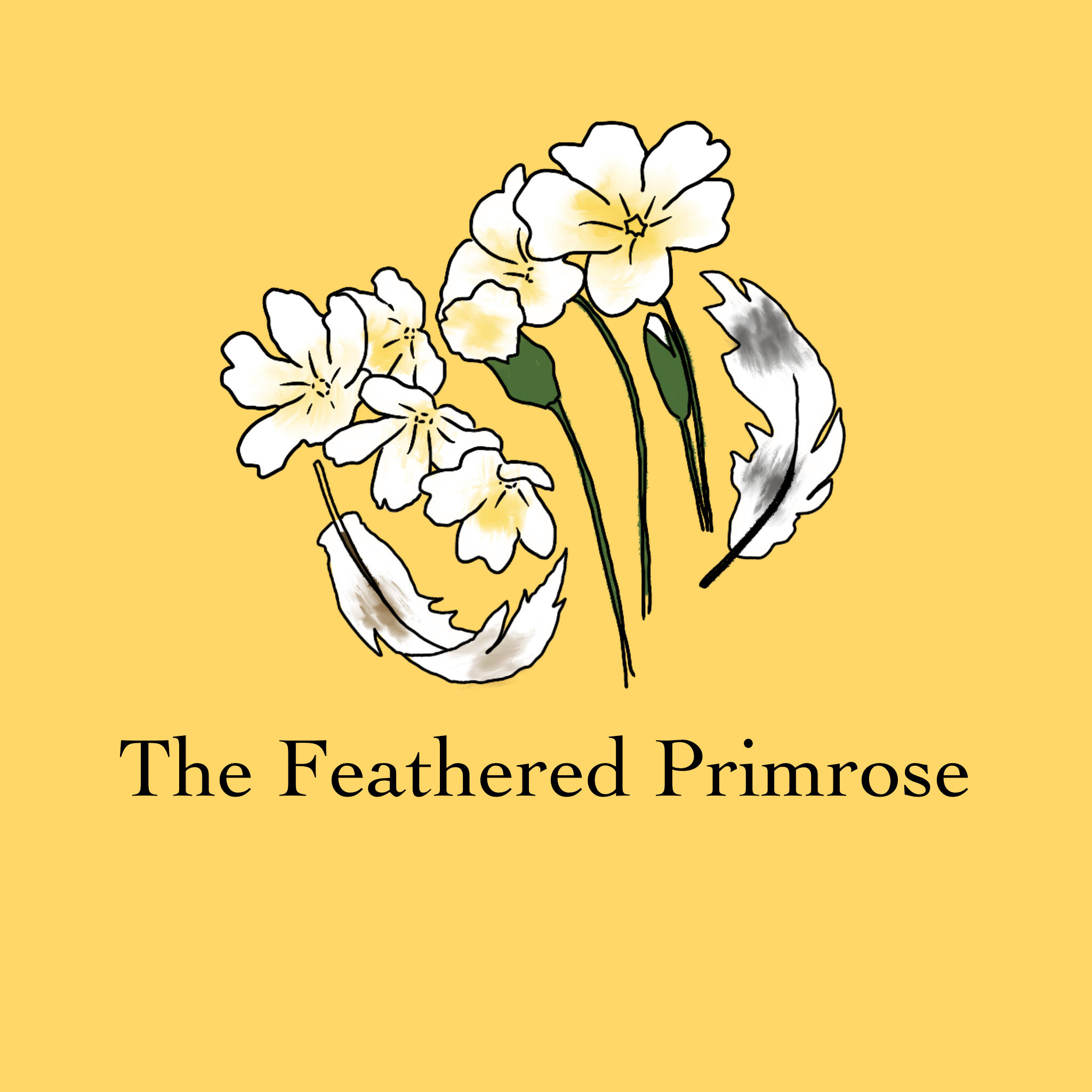 The Feathered Primrose Studio
